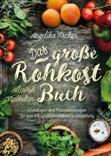 Das große Rohkost-Buch – AllesRoh-Vitalkultur - Angelika Fischer - 9783864101724
