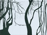 Cuny Janssen: Yoshino - Jos Vos - 9783864420276