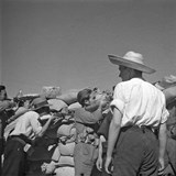 Gerda Taro - Irme Schaber - 9783869050133