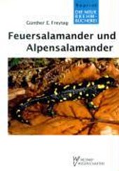 Freytag: Feuersalamander/Alpensala.