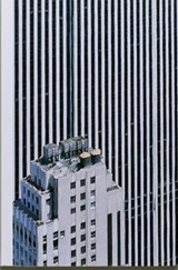 The Rendering Eye: Urban America Revisited - Philipp Sarasin - 9783905929546