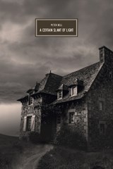 A Certain Slant of Light - Peter Bell - 9783912357134