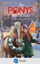 Die Ponys von Lillasund 3. Winterzauber im Stall - Kathrin Lena Orso - 9783960524908