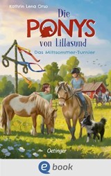 Die Ponys von Lillasund 4. Das Mittsommer-Turnier - Kathrin Lena Orso - 9783960525509