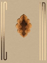 INDIA - Ljubodrag Andric - 9783960701330