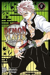 Demon Slayer - Kimetsu no Yaiba 17 - Koyoharu Gotouge - 9783964339416