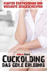 Harter Erotikroman und versaute Sexgeschichten - Paula Davis - 9783966619479