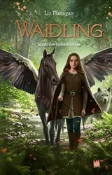 Waidling (Band 2): Stadt der Geheimnisse - Liz Flanagan - 9783968267081