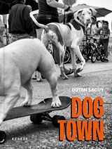 Dogtown - Dotan Saguy - 9783969001431