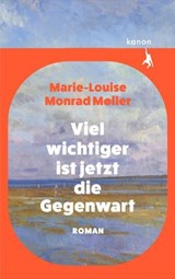 Viel wichtiger ist jetzt die Gegenwart - Marie-Louise Monrad Møller - 9783985682072
