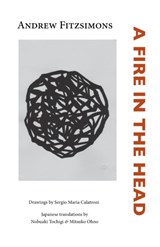 A Fire in the Head - Andrew Fitzsimons - 9784907359065