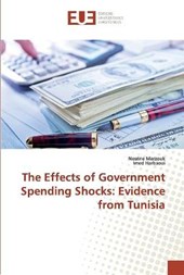 The Effects of Government Spending Shocks