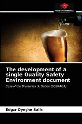 The development of a single Quality Safety Environment document