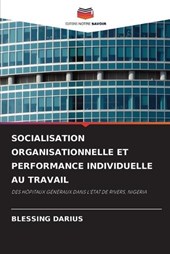 Socialisation Organisationnelle Et Performance Individuelle Au Travail