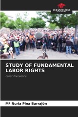 Study of Fundamental Labor Rights - Ma Nuria Pina Barrajón - 9786209856587