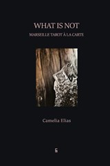 What is not - Camelia Elias - 9788792633439