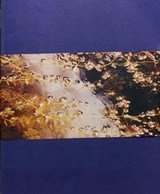 Gates to the Garden - Adam Kremer - 9788799966721