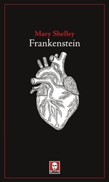 Frankenstein - Mary Shelley ; Sara Noto Goodwell ; Nicoletta Vallorani - 9788833531182