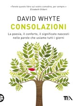 Consolazioni - David Whyte - 9788850261949