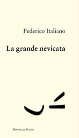 La grande nevicata - Federico Italiano - 9788855224901