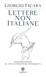 Lettere non italiane - Giorgio Ficara - 9788858773260