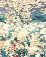 Erik Madigan Heck: The Garden - Erik Madigan Heck - 9788862087254