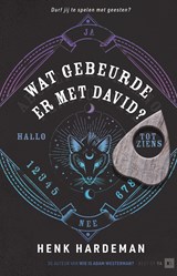 Wat gebeurde er met David? - Henk Hardeman - 9789000383498