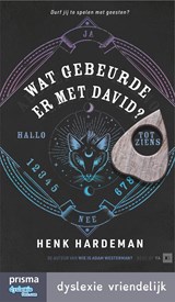 Wat gebeurde er met David? - Henk Hardeman - 9789000383504