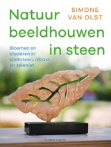 Natuur beeldhouwen in steen - Simone van Olst - 9789000385393