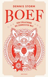 Boef - Dennis Storm - 9789000391400