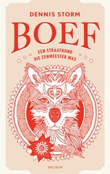 Boef - Dennis Storm - 9789000391417