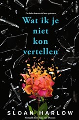 Wat ik je niet kon vertellen - Sloan Harlow - 9789000393732