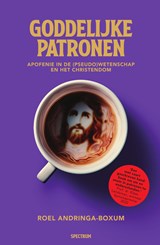 Goddelijke patronen - Roel Andringa-Boxum - 9789000395088