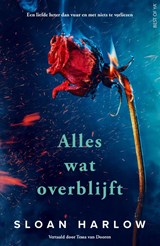 Alles wat overblijft - Sloan Harlow - 9789000398812
