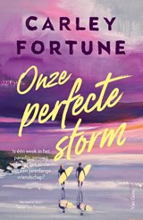 Onze perfecte storm - Carley Fortune - 9789000403691