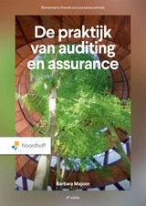 De praktijk van auditing en assurance - B. Majoor - 9789001051587
