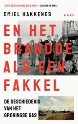 En het brandde als een fakkel - Emiel Hakkenes - 9789021343006
