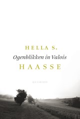 Ogenblikken in Valois | Hella S. Haasse | 