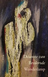 Wonderlamp - Désanne van Brederode - 9789021414539