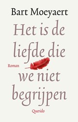 Het is de liefde die we niet begrijpen - Bart Moeyaert - 9789021419947