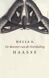 De meester van de neerdaling | Hella S. Haasse | 