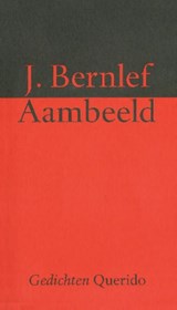 Aambeeld - J. Bernlef - 9789021448237