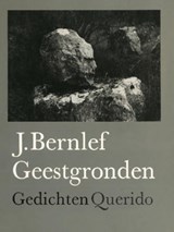 Geestgronden - J. Bernlef - 9789021448305