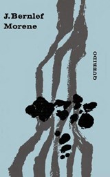 Morene - J. Bernlef - 9789021448350