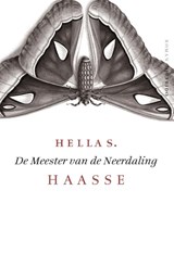 De meester van de neerdaling - Hella S. Haasse - 9789021455679