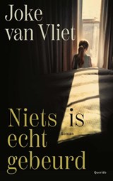 Niets is echt gebeurd - Joke van Vliet - 9789021461427