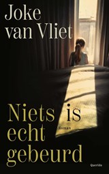 Niets is echt gebeurd - Joke van Vliet - 9789021461434