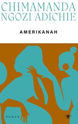 Amerikanah | Chimamanda Ngozi Adichie | 