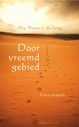 Door vreemd gebied - Pieter L. de Jong - 9789023925590
