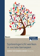 Systeemgericht werken in sociale beroepen - Sandra van Mameren-Broers - 9789024407873